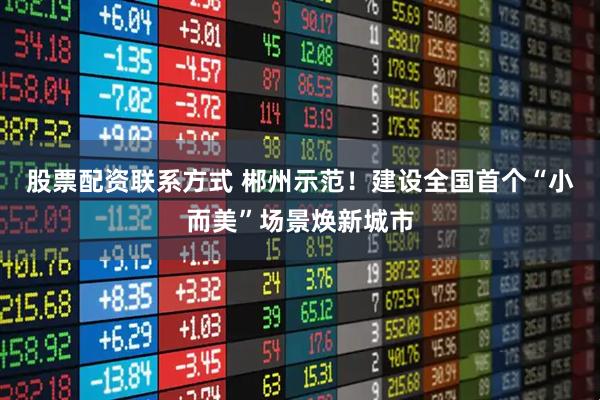 股票配资联系方式 郴州示范！建设全国首个“小而美”场景焕新城市